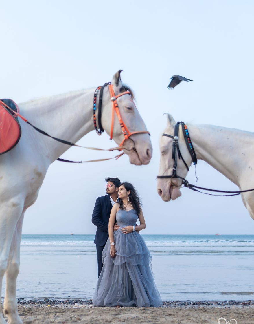 Impulse DreamLight photography